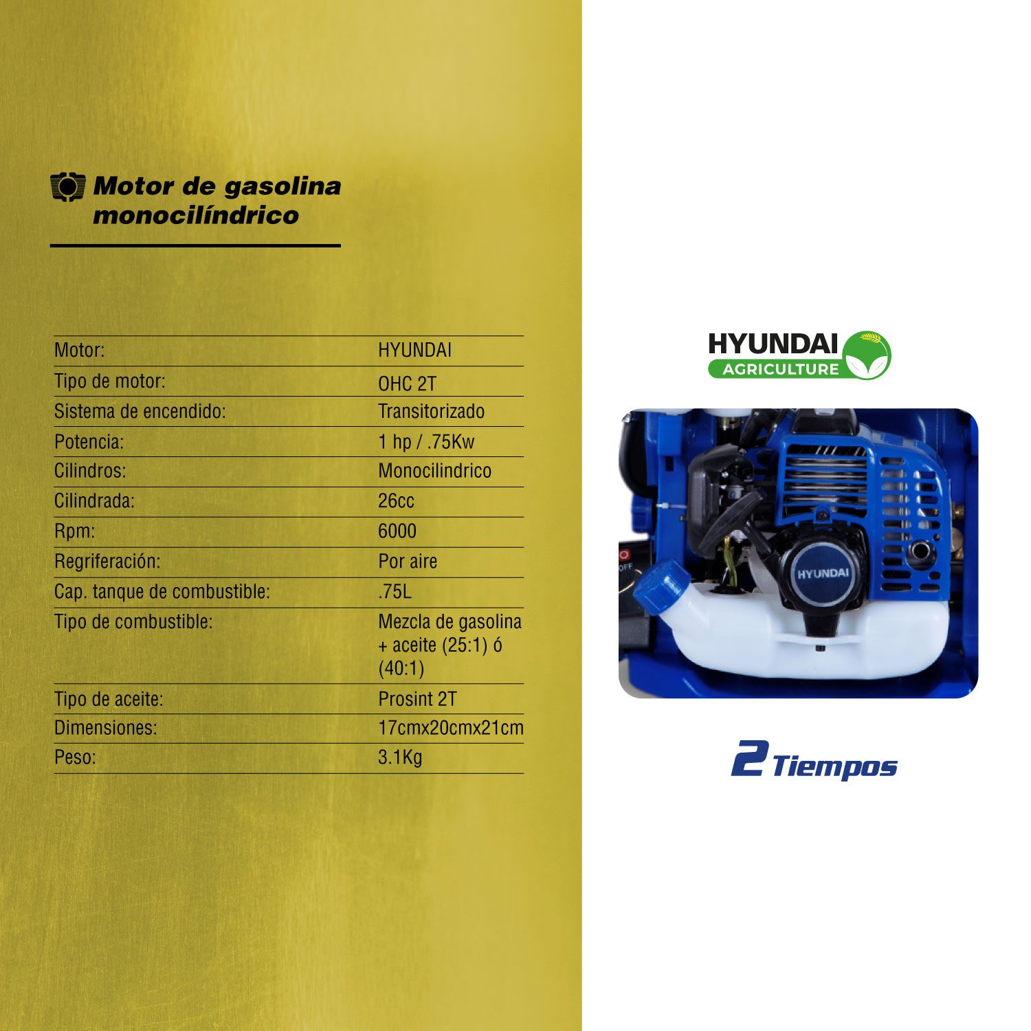 Fumigadora a Gasolina Profesional HYD25V 25L - Image 2