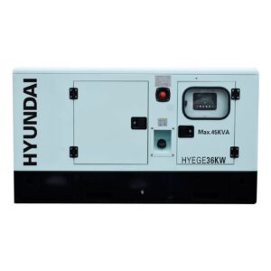 Generador Estacionario Trifásico Diésel HYEGE36KW 36 Kw